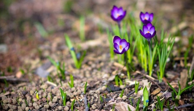 Вибрационный прогноз от lee на апрель 2019 года