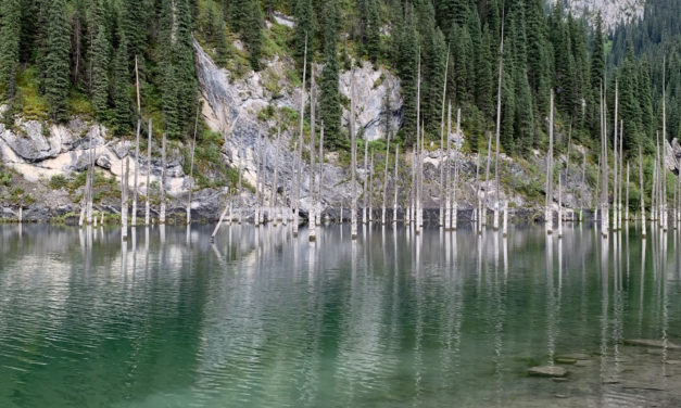 Галактическая Федерация Света-МАРТ 2020