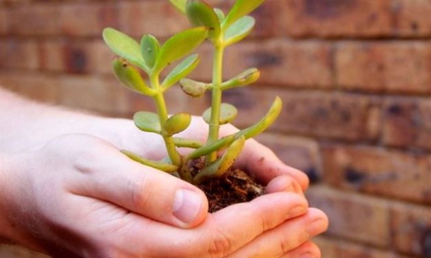 Вибрационный прогноз от lee на ноябрь 2019 года