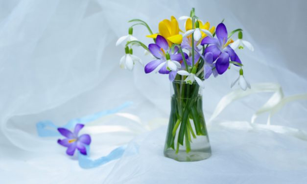 Вибрационный прогноз от lee на апрель 2020 года