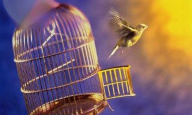 НАСТАЛ МОМЕНТ ИСТИНЫ! ВЫЖИВУТ ЛИ СУЩНОСТИ И ТЕ, КТО С НИМИ КОНТАКТИРУЕТ, В НОВЫХ ЭНЕРГИЯХ ЗЕМЛИ?!