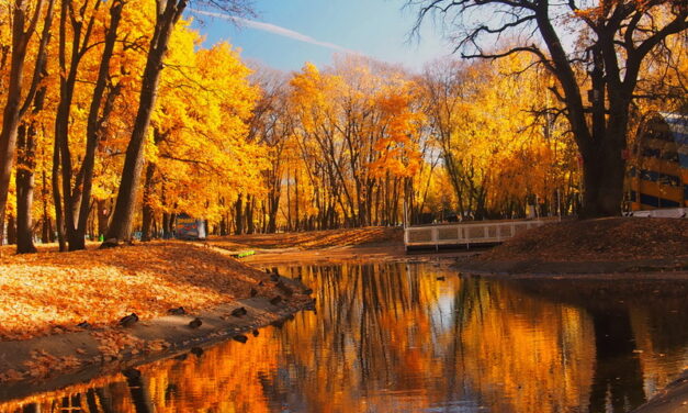 Энергетический прогноз на ОКТЯБРЬ 2020 Натали Иван