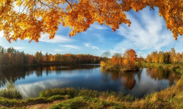 Вибрационный прогноз от lee на октябрь 2020 года