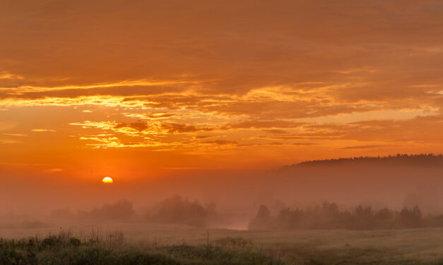 Прогноз удачи на ноябрь 2020 Натали Иван