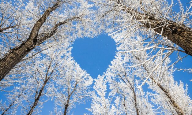 Энергетический прогноз на ДЕКАБРЬ 2020 Натали Иван