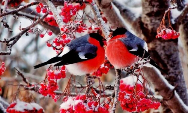 Энергетический Прогноз на Февраль 2021 Натали Иван