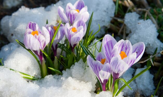 Энергетический Прогноз на Март 2021 Натали Иван