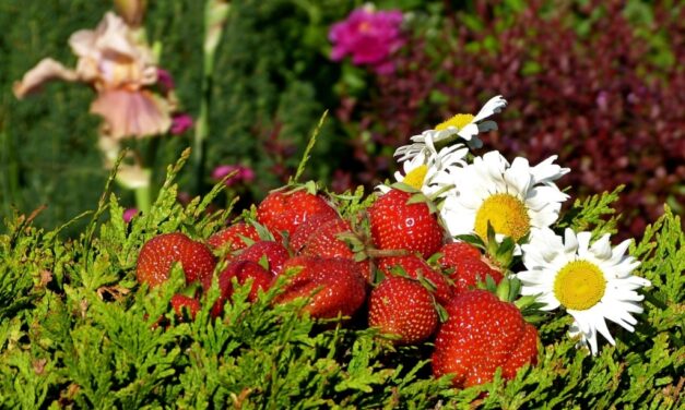 Энергетический Прогноз на Июнь 2021 Натали Иван