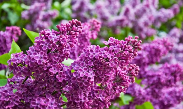 Энергетический Прогноз на Май 2021 Натали Иван