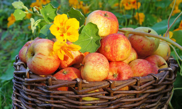 Энергетический Прогноз на Август 2021 Натали Иван