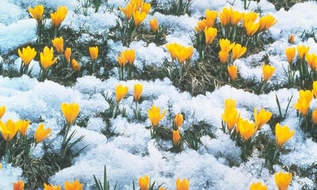 Энергетический Прогноз на МАРТ 2022 Натали Иван