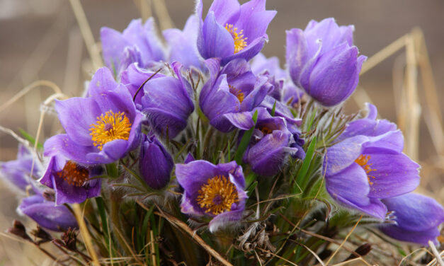 Вибрационный прогноз на март 2022 года