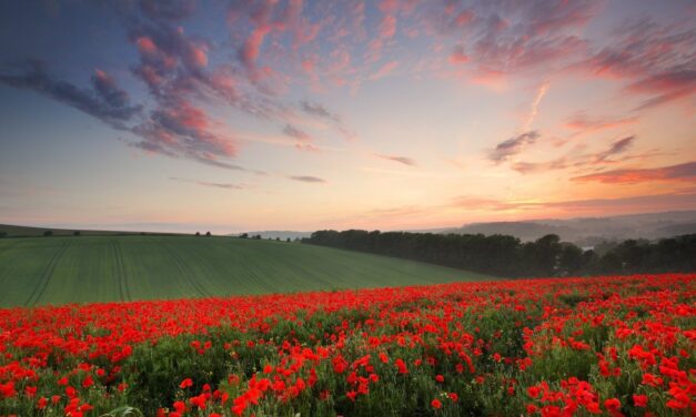 Вибрационный прогноз от lee на июнь 2022 года